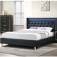 Modern Bed With LED Lights, Charging Port, Tufted Headboard