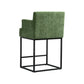 Neveo - Set of 2 - 26" Green Upholstered Chenille Counter Height Bar Stools with Black Metal Frame - Modern Square Design for Kitchen Island or Pub