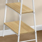 Computer Desk For Home Office, Laptop, Storage Shelves, Contemporary & Modern