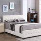 Stylish Transitional Bed