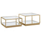Emeline - 2 Piece Coffee Table Set - Brushed Brass