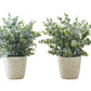 Artificial Eucalyptus Grass (Set of 2)