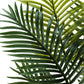 57" Tall, Artificial Plant, Palm Tree, Indoor, Faux, Fake, Floor, Greenery, Potted, Real Touch, Decorative - Green / Black