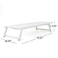 Myers - Modern Chaise Lounge Set With Adjustable Back