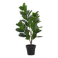 28" Tall, Artificial Plant, Garcinia Tree, Indoor, Faux, Fake, Floor, Greenery, Potted, Real Touch, Decorative - Green / Black