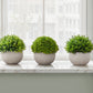 5" Tall, Artificial Plant, Grass, Indoor, Faux, Fake, Table, Greenery, Potted, Decorative (Set of 3) - Green / Gray