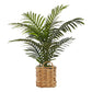 24" Tall, Artificial Plant, Palm, Indoor, Faux, Fake, Table, Floor, Greenery, Potted, Real Touch, Decorative - Green / Beige