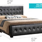 Stylish Transitional Bed
