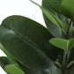 28" Tall, Artificial Plant, Garcinia Tree, Indoor, Faux, Fake, Floor, Greenery, Potted, Real Touch, Decorative - Green / Black