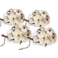 Velvety Pumpkin In Mesh Bag, Bag / 12, For Holiday Harvest Festival Fall Festival & Thanksgiving (Set of 4) - White