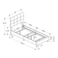 Bed, Upholstered, Frame Only, Transitional
