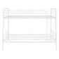 Contemporary Bunk Bed