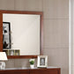 Burlington - Modern Design Transitional Wall Mirror