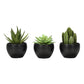 Artificial Succulent Plants (Set of 3)