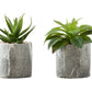 6" Tall, Artificial Plant, Succulent, Indoor, Faux, Fake, Table, Greenery, Potted, Decorative (Set of 2) - Green / Gray