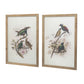Bird Framed Print (Set of 2) - Multicolor