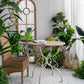 Round Wooden Table With Metal Scrollwork Legs - White Washed