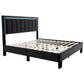 Queen Upholstered Bed With LED - Charcoal