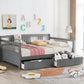 Multifunctional Elegant Modern Daybed