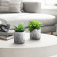 6" Tall, Artificial Plant, Succulent, Indoor, Faux, Fake, Table, Greenery, Potted, Decorative (Set of 2) - Green / Gray