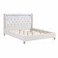 Modern Bed With LED Lights, Charging Port, Tufted Headboard