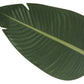 60" Tall, Artificial Plant, Bird Of Paradise Tree, Indoor, Faux, Fake, Floor, Greenery, Potted, Decorative - Green / Black