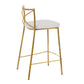 Modern Charlotte - Contemporary Fixed Height Counter Stool (Set of 2)