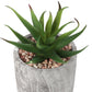 6" Tall, Artificial Plant, Succulent, Indoor, Faux, Fake, Table, Greenery, Potted, Decorative (Set of 2) - Green / Gray