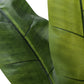 55" Tall, Artificial Plant, Banana Tree, Indoor, Faux, Fake, Floor, Greenery, Potted, Real Touch, Decorative - Green / Black