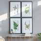 Botanical And Fern Wall Art, Wall Decor For Living Room Dining Room Entryway (Set of 4) - White / Black