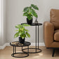 13" Tall, Artificial Plant, Monstera Calthea, Indoor, Faux, Fake, Table, Greenery, Potted, Decorative (Set of 2) - Green / Black
