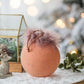Christmas Ball Ornaments, Glass Decorative Hanging Ball Christmas Tree Ornaments