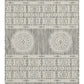 Sunshine - 5'3" X 7'3" Indoor, Outdoor Area Rug Polypropylene - Silver