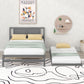 Platform Bed With Adjustable Trundle