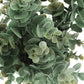 Artificial Eucalyptus Grass (Set of 2)