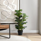 32" Tall, Artificial Plant, Fiddle Tree, Indoor, Faux, Fake, Floor, Greenery, Potted, Real Touch, Decorative - Green / Black