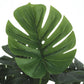 Artificial Monstera Plant