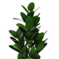 28" Tall, Artificial Plant, Garcinia Tree, Indoor, Faux, Fake, Floor, Greenery, Potted, Real Touch, Decorative - Green / Black