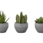 Artificial Succulent Plants (Set of 3)