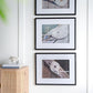 Rope Wall Art With Frame, Wall Decor For Living Room (Set of 3) - White / Black