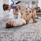 Payas - 5' X 7' Traditional Area Rug - Ivory / Gray