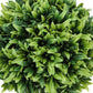 5" Tall, Artificial Plant, Grass, Indoor, Faux, Fake, Table, Greenery, Potted, Decorative (Set of 3) - Green / Gray