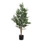 47" Tall, Artificial Plant, Acacia Tree, Indoor, Faux, Fake, Floor, Greenery, Potted, Silk, Decorative - Green / Black