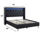 Modern Bed With LED Lights, Charging Port, Tufted Headboard