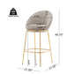 Celano - Upholstered Barstool (Set of 2)