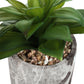 6" Tall, Artificial Plant, Succulent, Indoor, Faux, Fake, Table, Greenery, Potted, Decorative (Set of 2) - Green / Gray