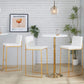 Fuji - Contemporary Design High Back Barstool