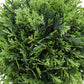 5" Tall, Artificial Plant, Grass, Indoor, Faux, Fake, Table, Greenery, Potted, Decorative (Set of 3) - Green / Gray