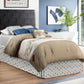 Nova - Headboard