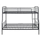 Contemporary Bunk Bed
